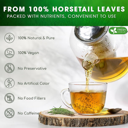 Premium Horsetail Leaf Tea Bags, 100% Natural &amp; Pure from Horsetail Loose Leaves Herbal Tea. No Sugar, No Caffeine, No Gluten, Vegan. by FreshDrinkUS - Natural and Premium Herbal Tea