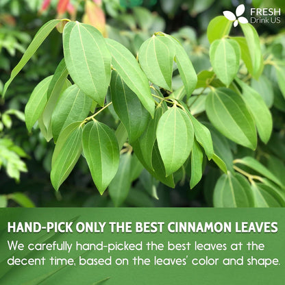 Cinnamon Leaves by FreshDrinkUS - Natural and Premium Herbal Tea