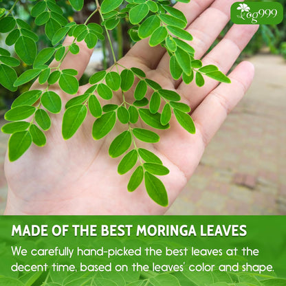 Premium Moringa Leaf Powder, 100% Natural and Pure from Moringa Leaves, No Additives, No Gluten, No Sugar, Vegan by FreshDrinkUS - Natural and Premium Herbal Tea
