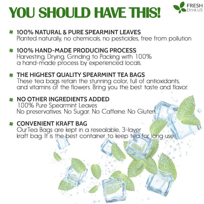 Spearmint Tea Bags, 100% Natural &amp; Pure Spearmint Leaves. Loose Leaf Spearmint Herbal Tea. Spearmint Leaf Tea. No Sugar, No Caffeine, No Gluten, Vegan. by FreshDrinkUS - Natural and Premium Herbal Tea