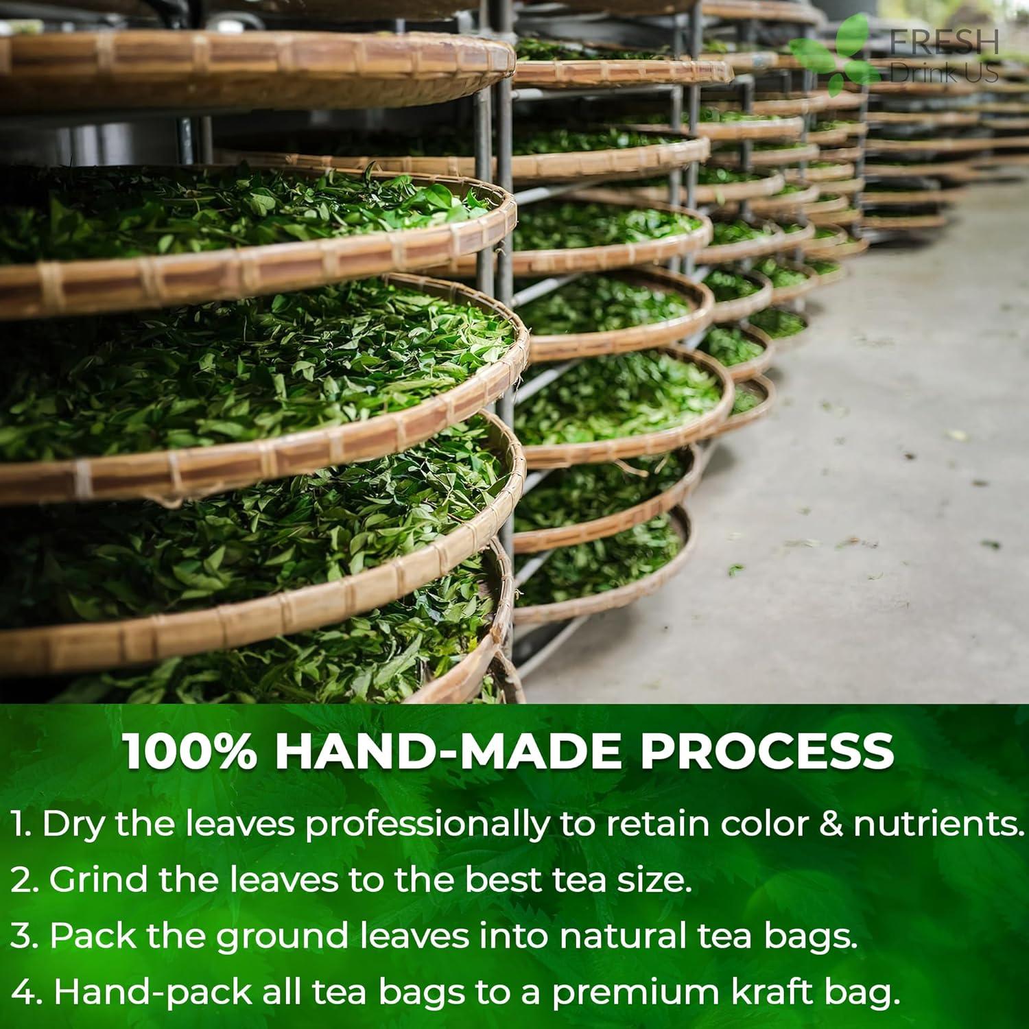 Premium Nettle Leaf Tea Bags, 100% Natural &amp; Pure, Stinging Nettle Leaf Tea, Nettle Leaf Tea, Burn Nettle, Stinging Nettle, Nettle Tea, Stinger Tea, No Sugar/Caffeine &amp; Gluten, Vegan by FreshDrinkUS - Natural and Premium Herbal Tea