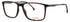 Carrera 8881 Eyeglasses by ModaFrames