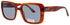 Roxy Rx7008 Sunglasses by ModaFrames