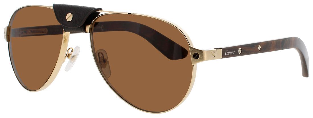 Cartier Ct0495s Sunglasses by ModaFrames