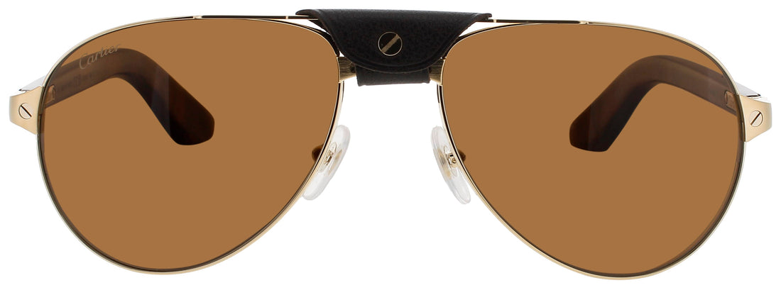 Cartier Ct0495s Sunglasses by ModaFrames