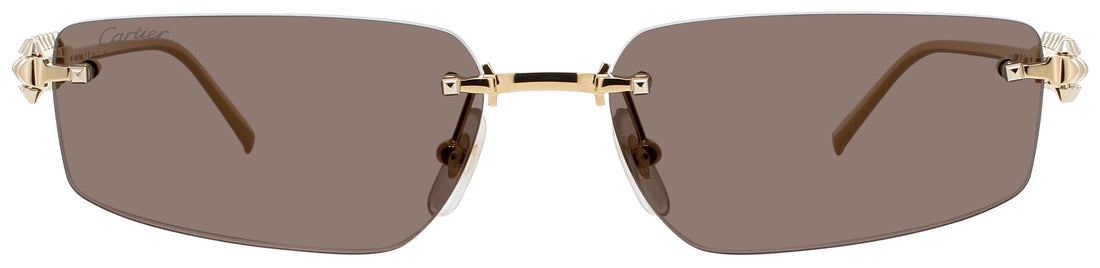 Cartier Ct0544s Sunglasses by ModaFrames