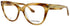 Calvin Klein Ck24514 Eyeglasses by ModaFrames