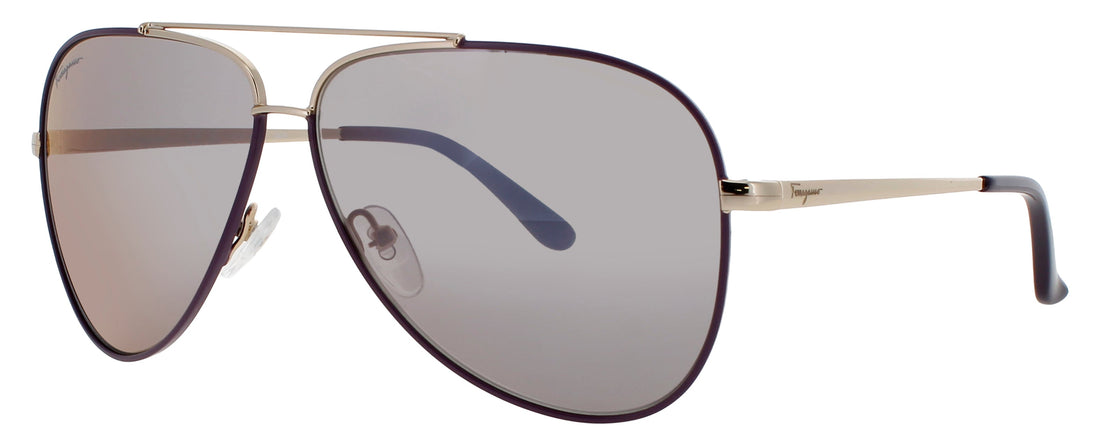 Salvatore Ferragamo Sf131s Sunglasses by ModaFrames