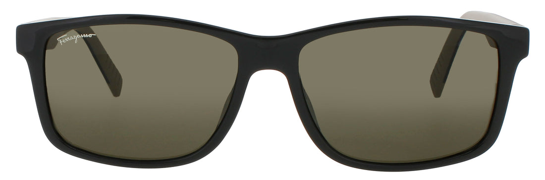 Salvatore Ferragamo Sf938s Sunglasses by ModaFrames