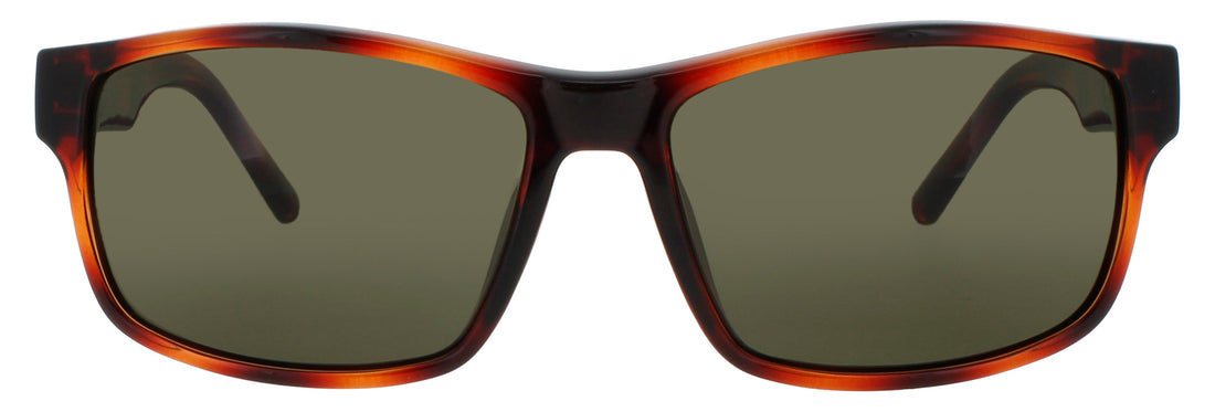 Salvatore Ferragamo Sf960s 214 Sunglasses by ModaFrames
