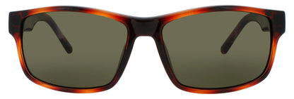Salvatore Ferragamo Sf960s 214 Sunglasses by ModaFrames