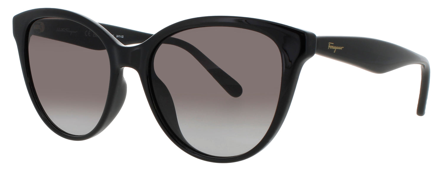 Salvatore Ferragamo Sf1073s Sunglasses by ModaFrames