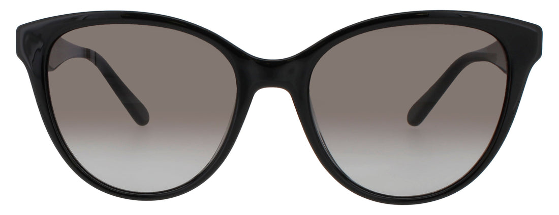 Salvatore Ferragamo Sf1073s Sunglasses by ModaFrames