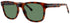 Lacoste L995s Sunglasses by ModaFrames