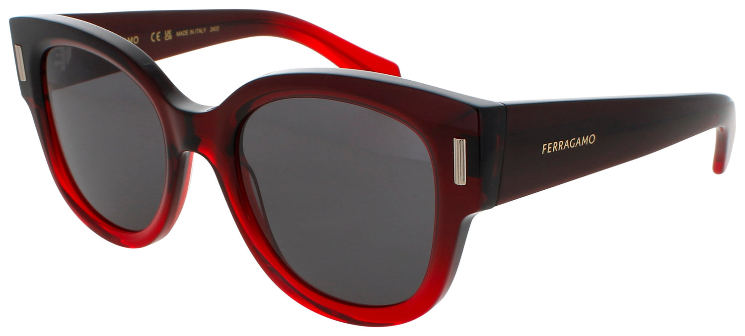 Salvatore Ferragamo Sf2007s Sunglasses by ModaFrames