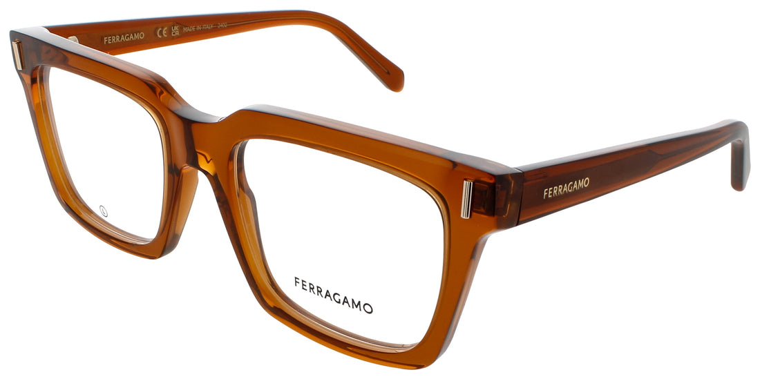 Salvatore Ferragamo Sf2993 Eyeglasses by ModaFrames
