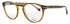 Lacoste L2966 Eyeglasses by ModaFrames