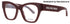 Balenciaga Bb0263o Eyeglasses by ModaFrames