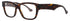 Gucci Gg1428o Eyeglasses by ModaFrames