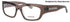 Balenciaga Bb0334o Eyeglasses by ModaFrames