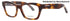 Balenciaga Bb0242o Eyeglasses by ModaFrames