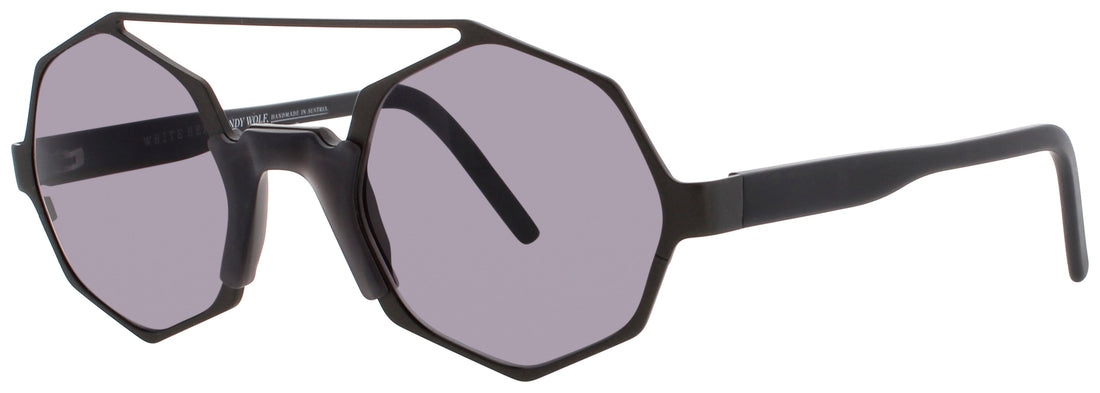 Andy Wolf Arlo Sunglasses by ModaFrames