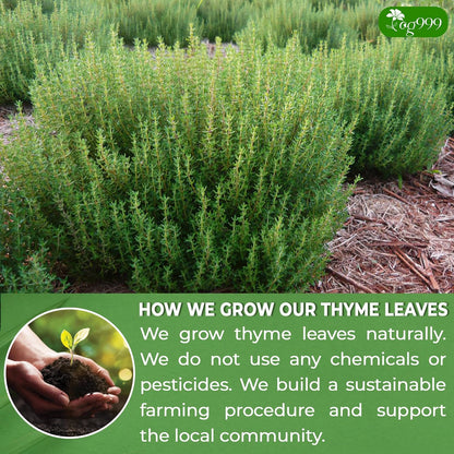 Premium 40 Thyme Leaf Tea Bags, 100% Natural &amp; Pure, Loose Leaf Herbal Tea. by FreshDrinkUS - Natural and Premium Herbal Tea