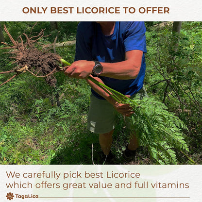 Premium Licorice Root Tea Bags, 100% Natural, Pure Licorice Root, Eco-Conscious Tea Bags, Licorice Root Herbal Tea, Licorice Root Tea. No Sugar, No Caffeine, No Gluten, Vegan by FreshDrinkUS - Natural and Premium Herbal Tea