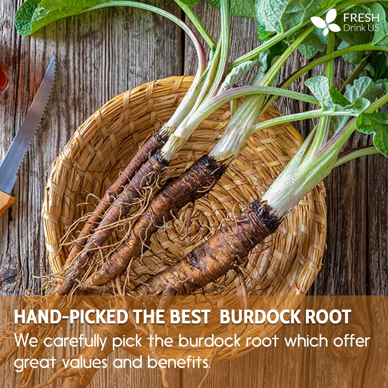 Burdock Root Tea Bags, 100% Natural &amp; Pure from Burdock Root. Burdock Root Herbal Tea. Burdock Root Tea. No Sugar, No Caffeine, No Gluten, Vegan. by FreshDrinkUS - Natural and Premium Herbal Tea