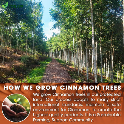 Pure Cinnamon Tea, 100% Natural &amp; Pure Cinnamon. Cinnamon Herbal Tea. Cinnamon Stick Herbal Spice Tea. No Sugar, No Caffeine, No Gluten, Vegan. by FreshDrinkUS - Natural and Premium Herbal Tea