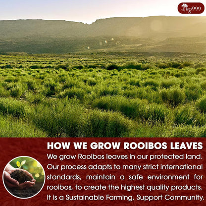 Premium Red Rooibos Tea Bags, 100% Natural &amp; Pure from Rooibos Tea Leaves. Loose Leaf Rooibos Herbal Tea. Made with Natural Material Tea Bags. No Sugar, No Caffeine, No Gluten, Vegan. by FreshDrinkUS - Natural and Premium Herbal Tea
