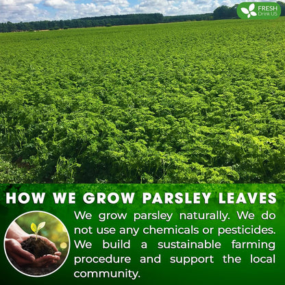 Premium Parsley Leaf Tea Bags, 100% Natural &amp; Pure from Parsley Leaves. by FreshDrinkUS - Natural and Premium Herbal Tea