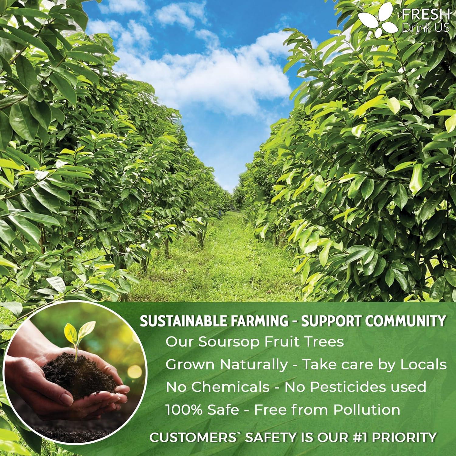 Premium Soursop Graviola Fruit Tea Bags, Tea Powder, 100% Natural and Pure from Soursop Fruits, Handmade, Made With Natural Materials-Corn Fiber Tea Bag, Sugar/Caffeine/Gluten Free, Hoja Guanabana Tea by FreshDrinkUS - Natural and Premium Herbal Tea