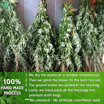 Mugwort Leaf Tea Bags, 100% Natural and Pure Mugwort Leaves, Loose Leaf Mugwort Herbal Tea, Mugwort Leaf Tea, No Sugar, No Caffeine, No Gluten, Vegan. by FreshDrinkUS - Natural and Premium Herbal Tea