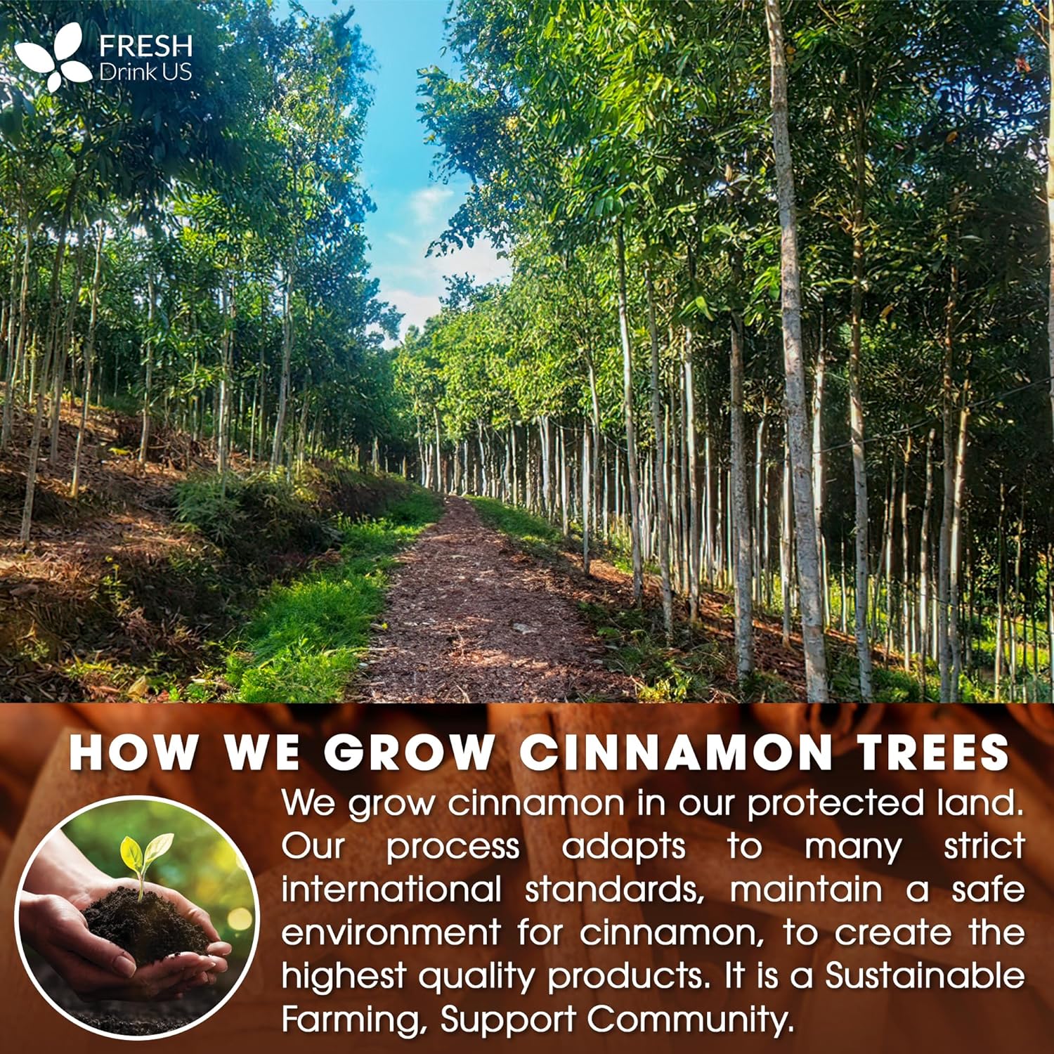 Cinnamon Sticks, Whole Sticks, 100% Natural &amp; Pure Cinnamon Inner Bark, Raw Cinnamon Spice Flavor &amp; Strong Aroma, Cinnamon Spice Herbal Tea, Perfect for Warm Beverages, No Additives, Vegan by FreshDrinkUS - Natural and Premium Herbal Tea