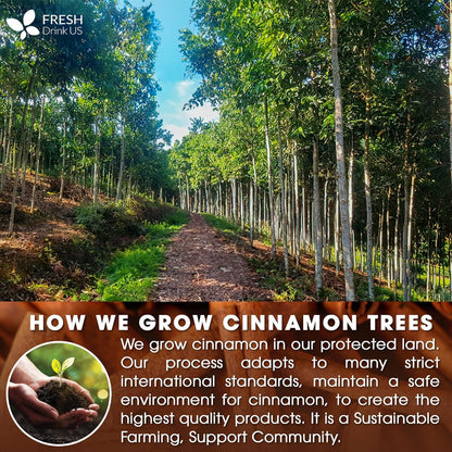 Cinnamon Sticks, Whole Sticks, 100% Natural &amp; Pure Cinnamon Inner Bark, Raw Cinnamon Spice Flavor &amp; Strong Aroma, Cinnamon Spice Herbal Tea, Perfect for Warm Beverages, No Additives, Vegan by FreshDrinkUS - Natural and Premium Herbal Tea