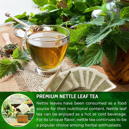 Premium Nettle Leaf Tea Bags, 100% Natural &amp; Pure, Stinging Nettle Leaf Tea, Nettle Leaf Tea, Burn Nettle, Stinging Nettle, Nettle Tea, Stinger Tea, No Sugar/Caffeine &amp; Gluten, Vegan by FreshDrinkUS - Natural and Premium Herbal Tea