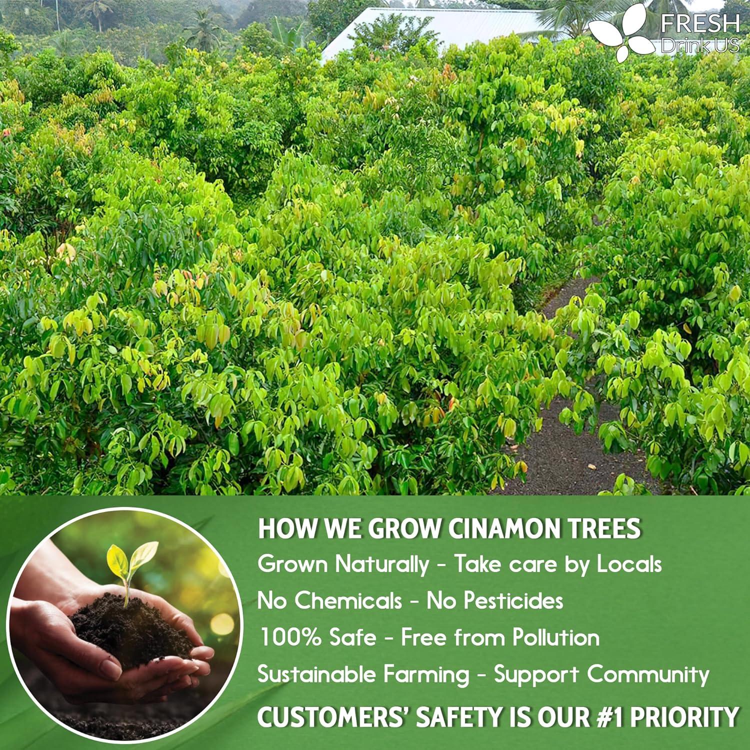 Cinnamon Leaves by FreshDrinkUS - Natural and Premium Herbal Tea