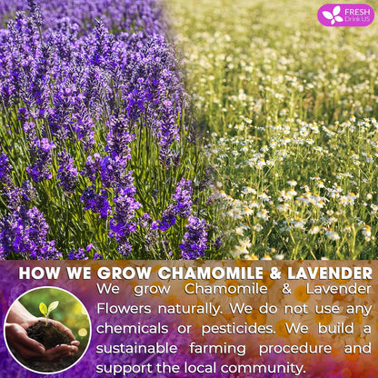 Premium Chamomile Lavender Tea Bags, Eco-conscious Tea Bags. No Sugar, No Caffeine, No Gluten, Vegan. by FreshDrinkUS - Natural and Premium Herbal Tea
