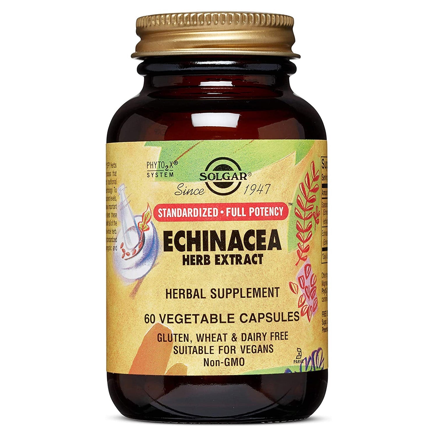 Solgar Echinacea Herb Extract 60 Vegetable Capsules by Pasteur Pharmacy