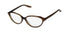 Barton Perreira Desiree Eyeglasses by ModaFrames