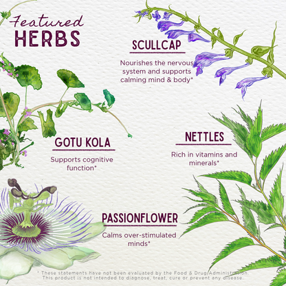 Attention Ally, Focus Friend for Kids by WishGarden Herbs