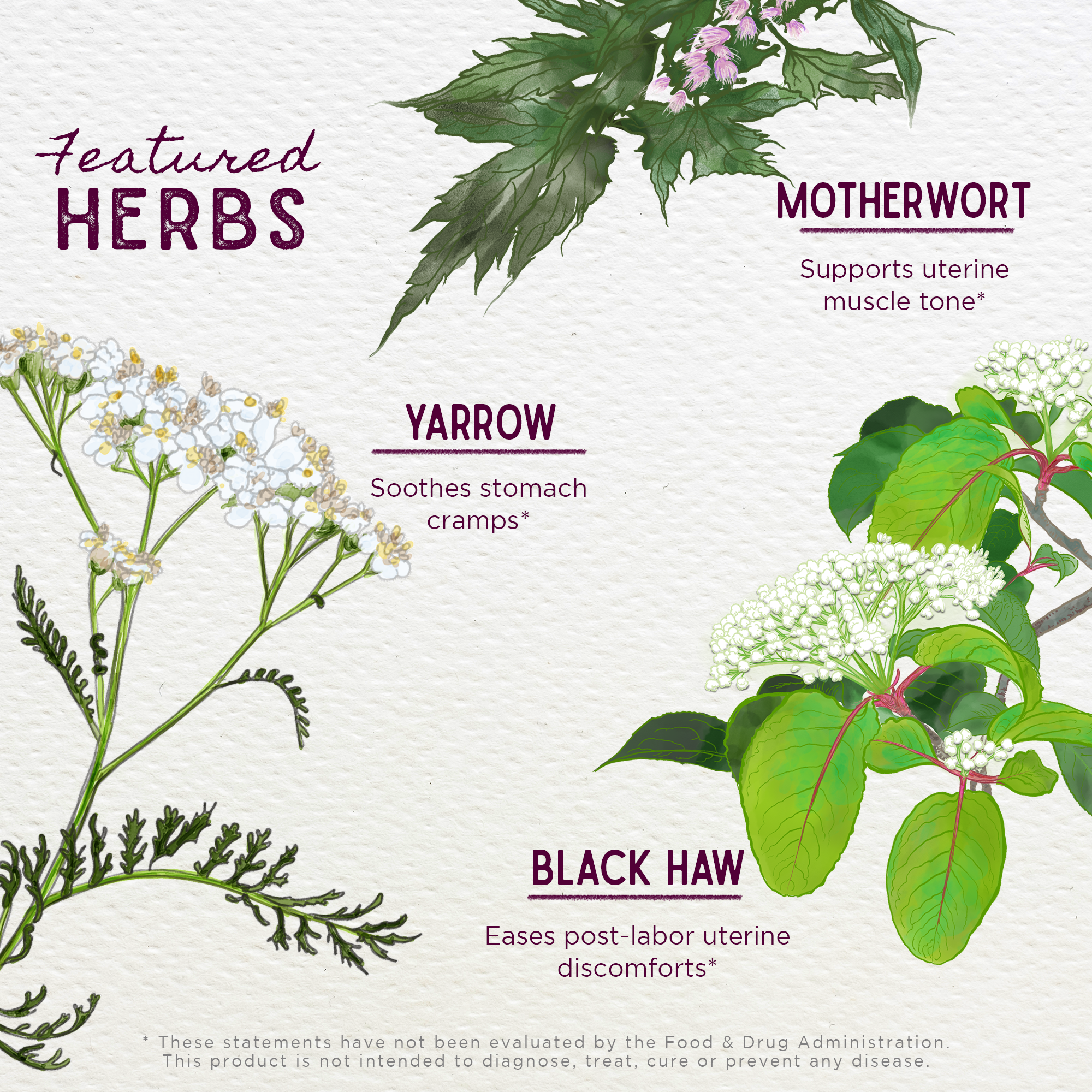 AfterEase For After Birth Contractions by WishGarden Herbs