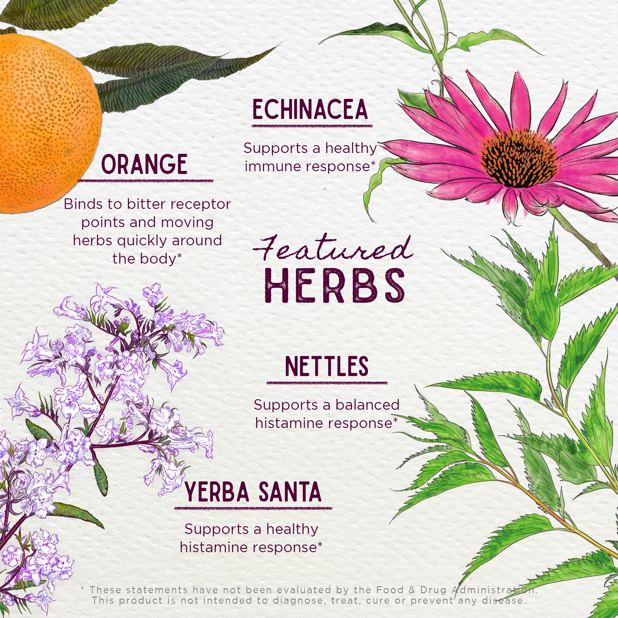Kick-Ass Allergy, Seasonal Rescue by WishGarden Herbs