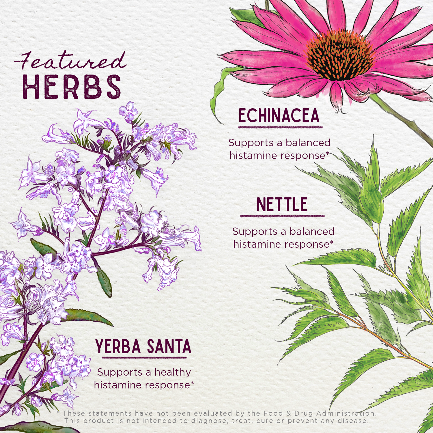 Kick-Ass Allergy, Seasonal Rescue For Pregnancy by WishGarden Herbs