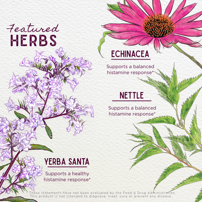 Kick-Ass Allergy, Seasonal Rescue For Pregnancy by WishGarden Herbs