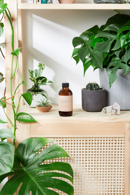 Natural Aged After Shave / Cologne Organic Bay Woodsy / Men’s Natural Organic After Shave by Butter Me Up Organics