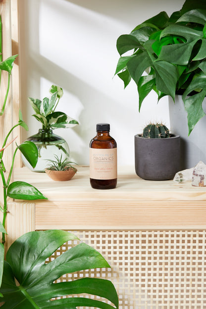 Natural Aged After Shave / Cologne Organic Bay Woodsy / Men’s Natural Organic After Shave by Butter Me Up Organics