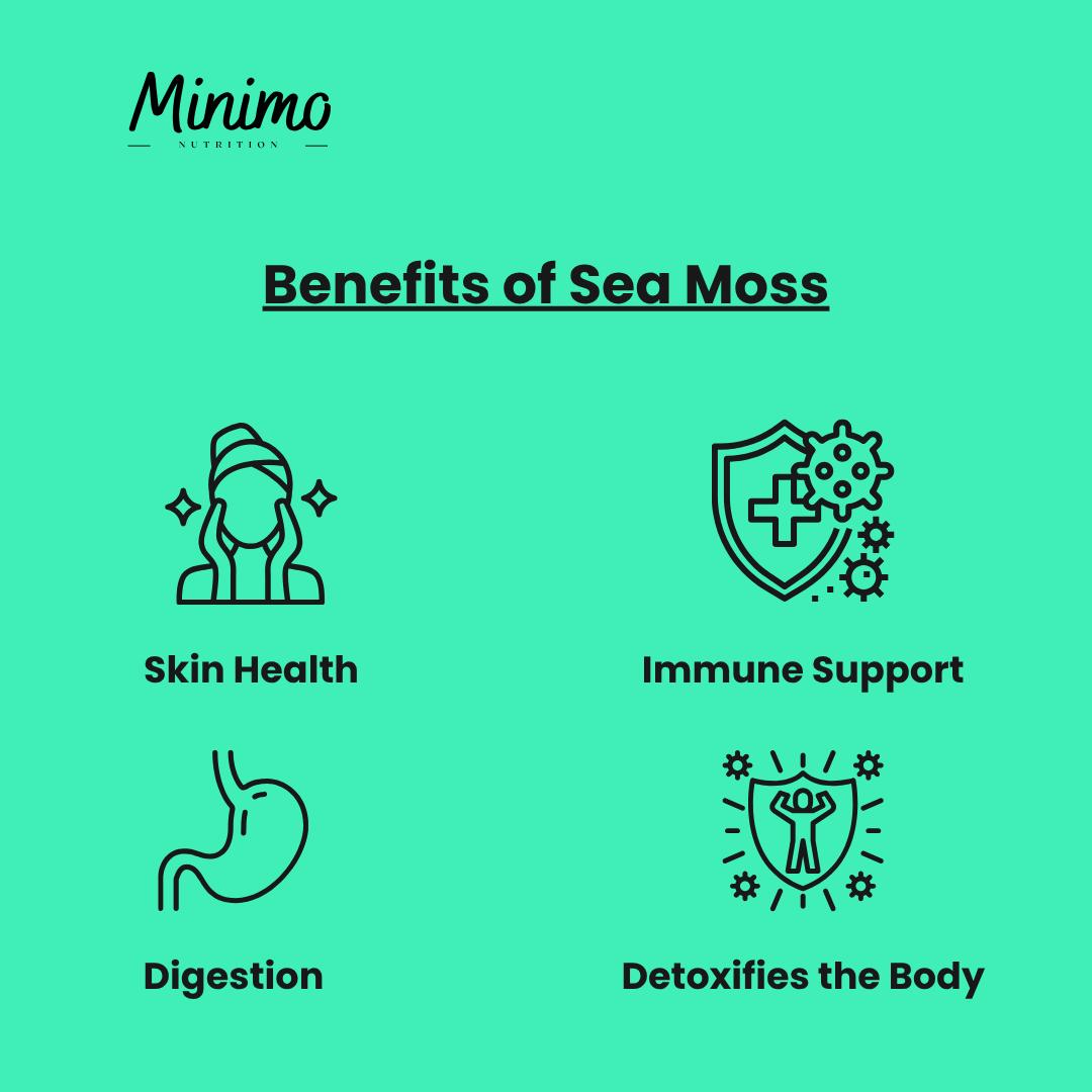 Sea Moss with Bladderwrack and Burdock Root, 60 ct. by Minimo Nutrition