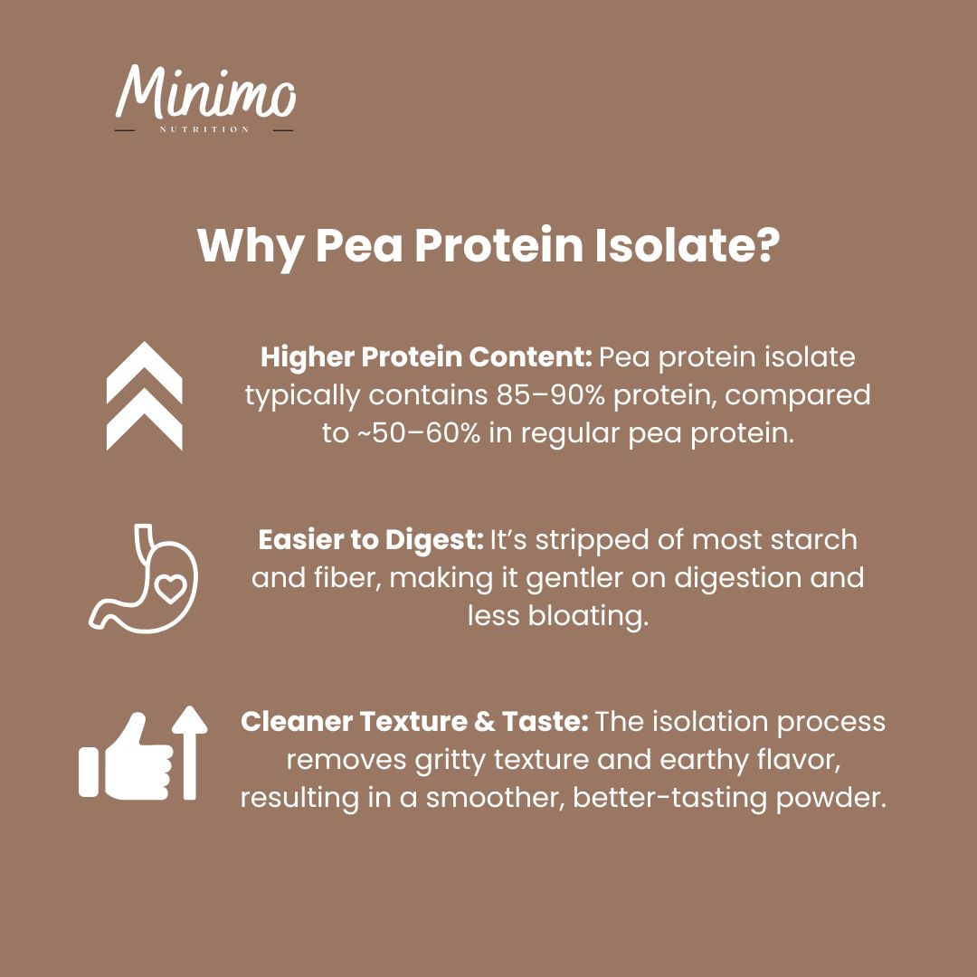 Chocolate Vegan Pea Protein Isolate Powder, 2.09 lbs by Minimo Nutrition